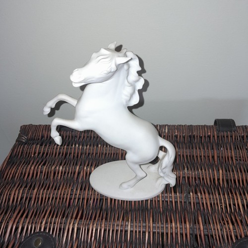 Kaiser white rearing - kaiser,