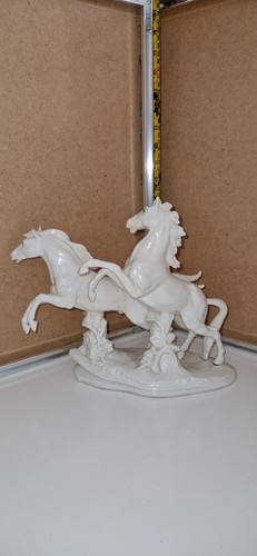 Karl ens galloping - karl, horses