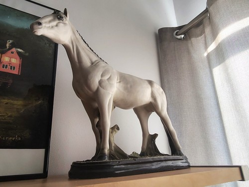 Vintage white horse - vintage,