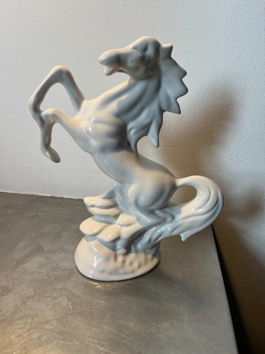 Horse stallion white lead - horse,