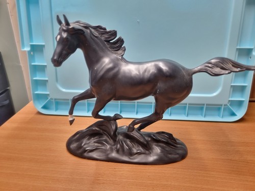 Horse black beauty pamela - horse,